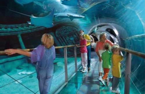 Disney cocooning à 5 minutes du Parc - Foto 25