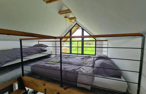 Studio Brzózka - Foto 15