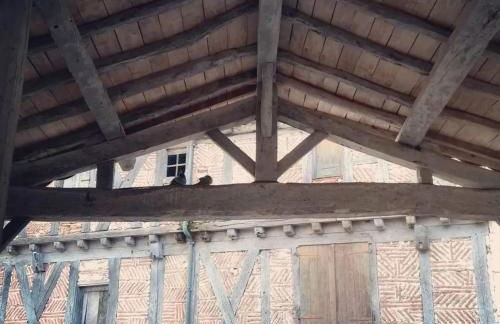 Maison confortable à Saint-Maurin avec 45 m² et terrasse - Foto 18