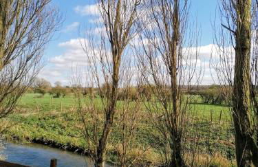 Poplar Lodge Log Caravan - Foto 12