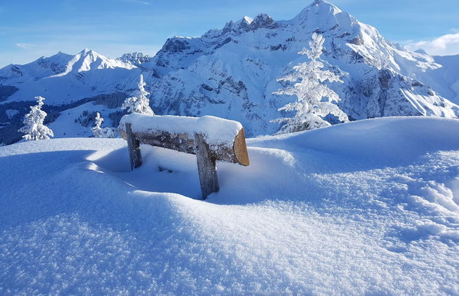 Lärchehuus - Foto 20