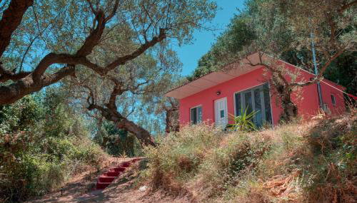 el paradiso - Foto 4