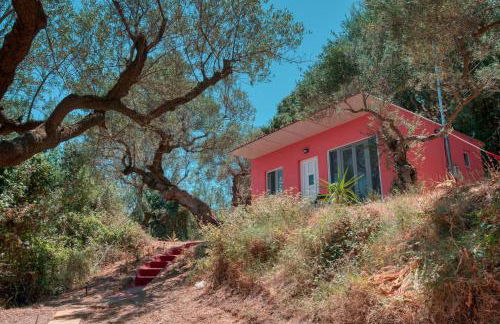 el paradiso - Foto 4