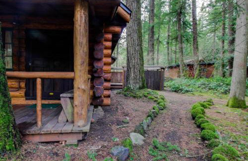 Zoe's Log Cabin - Foto 35