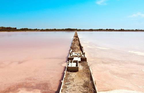 Maison proche mer - 5 couchages - ideal planchistes - Foto 30