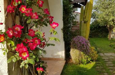 La Limonaia - Foto 28