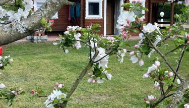 Eichberg Ferienhäuser - Foto 3