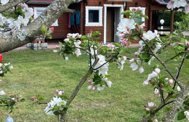 Eichberg Ferienhäuser - Foto 3
