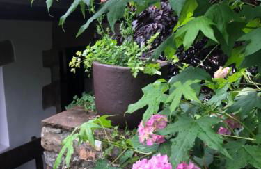 HdeC Hosteria de Castañeda Alojamiento Turistico - Foto 52