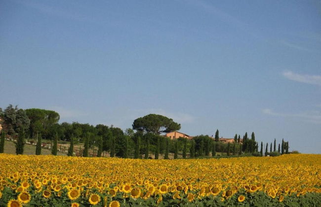 Holiday Home Near Lago di Chiusi With Pool - Photo 40