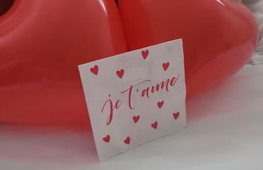 fee moi rêver - Foto 19