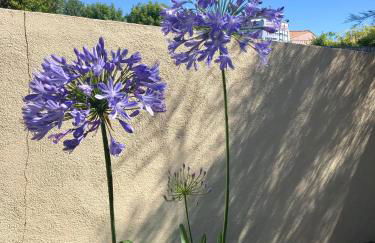 LE RENDEZ VOUS DES VACANCES - Foto 16