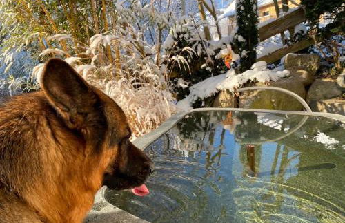 Pia's Nature Retreat - Foto 72