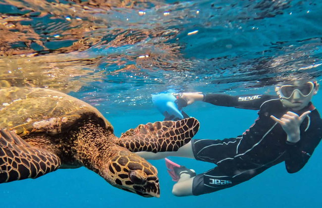 Tahiti Power Snorkelling - Photo 8