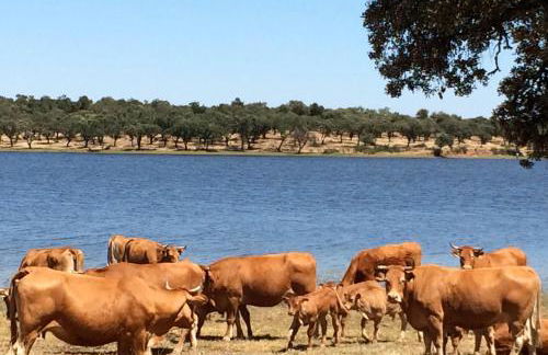 Herdade da Burquilheira Family Retreat - Foto 33