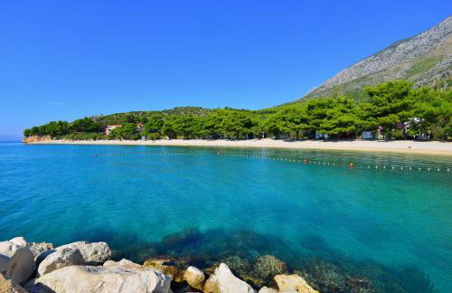 Villa Dalmatina - Photo 52