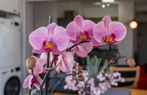 Canteras Ocean Terrace - Atico con terraza y vistas a las Canteras - Foto 32