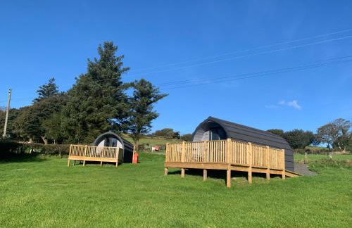 Dysynni Pod - Foto 16