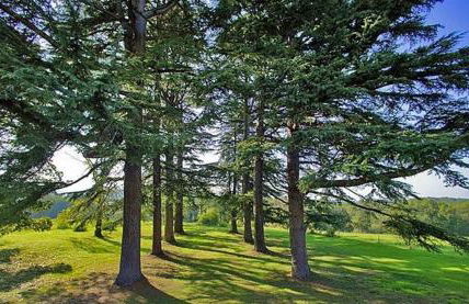 Exceptional XVIICastle in Dordogne Golden Triangle - Foto 64