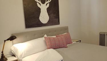 Origen Pelaire Refugio Tena Centro Biescas con encanto UbicacionTop - Foto 2