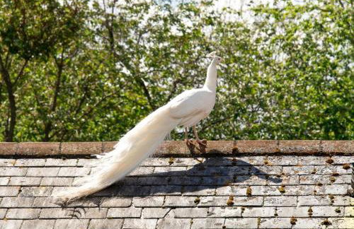 5 Bed in Sturminster Newton oc-76458 - Foto 28