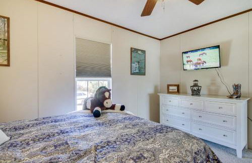 Beach Bay Pony Place with Ponies 1 Mi to Water! - Foto 21