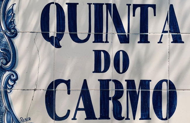 Quinta do Carmo - Foto 18