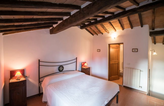 Fattoria di Cintoia - Photo 15