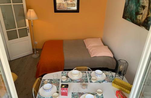 Les Amis de Beauval - Photo 24