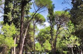 Apartment Nilema Rovinj - Photo 60