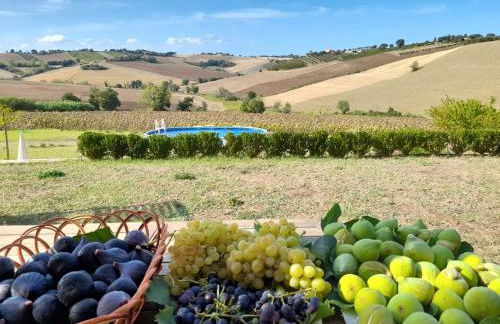 Il Giardino nella Valle - Foto 12