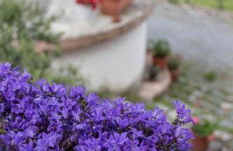 Agriturismo Terrerosse di Massadita - Foto 20