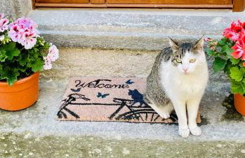 Casa Vacanze “Il Sogno” - Foto 37