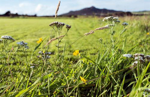 Penrhiw Priory - Foto 34