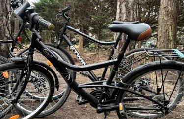 L Orée de la Pinède Hardelot Plage à 800 metres de la mer sous les pins - Foto 43