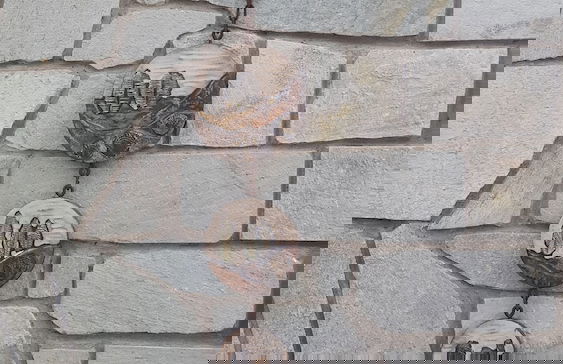 Natalie Apartments - Photo 44