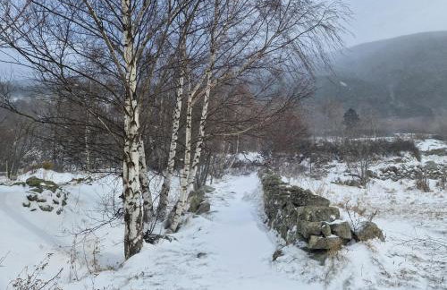 Chalet Catalan proche des pistes - Photo 8