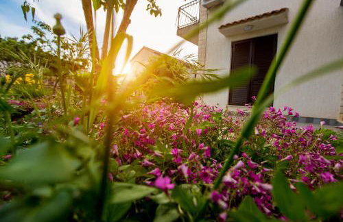 Ava apartmani - Foto 37