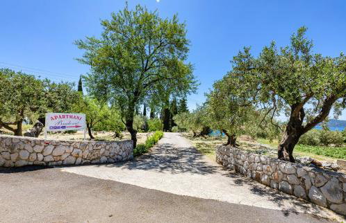 Apartments Bralovic - Photo 16