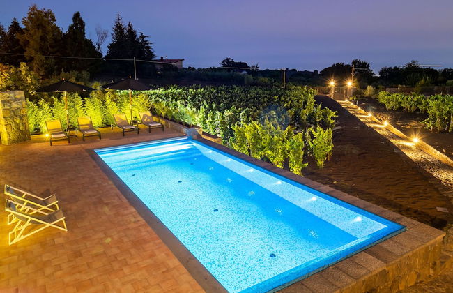 Palmento La Rosa - Foto 37