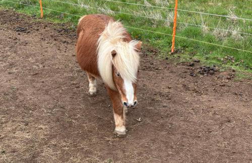 Two bedroom Holiday Home with countryside view - Foto 22