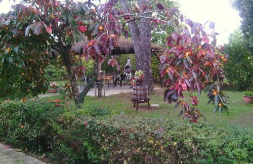 Artisti del Cavallo Tourism - Photo 20