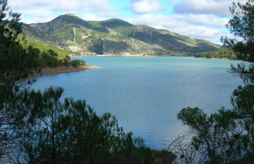 Mas de Salvador - Foto 37