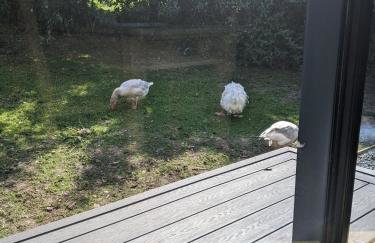 Self-Catering Suite in rural guest house 10 min to Islay Ferry Terminal - Foto 13