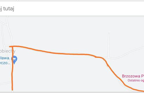 Brzozowa Polana - Foto 62