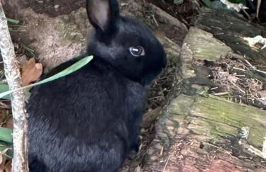 Rural Long Term Accommodation - Foto 55