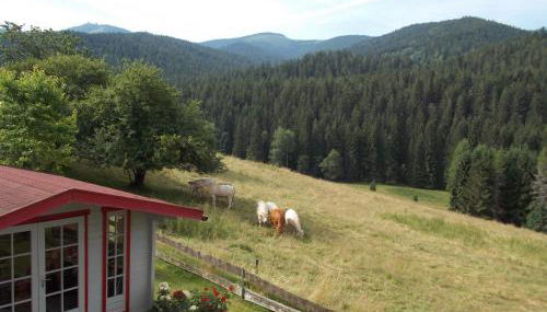 Ferienwohnung Dimpfl-Stad´l Fam. Lemberger - Foto 5