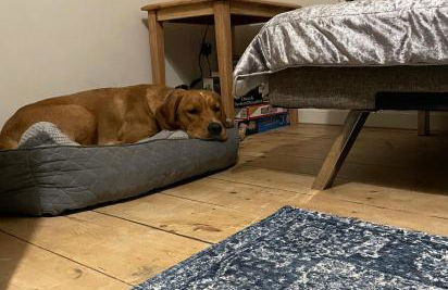 Loch Lomond Apartment - Foto 17