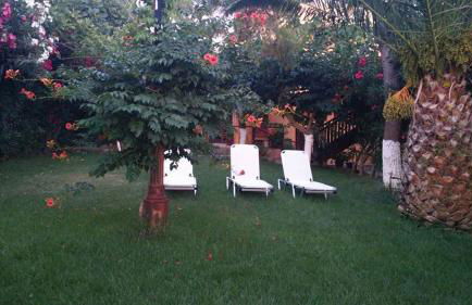 Dionisis Apartments - Photo 43