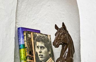 Casa de Veiros - Estremoz - Foto 21